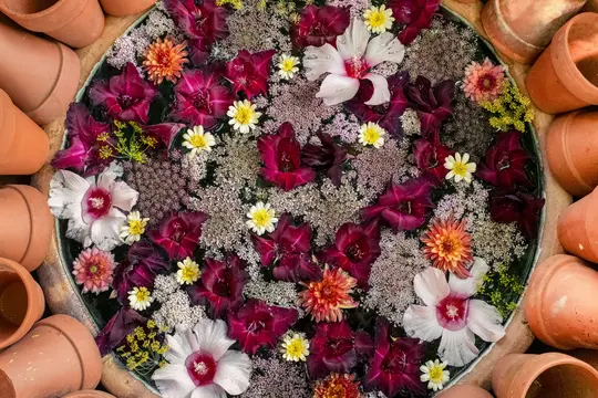 An overhead view of a circular basin filled with water, featuring a vibrant arrangement of purple, white, and yellow…