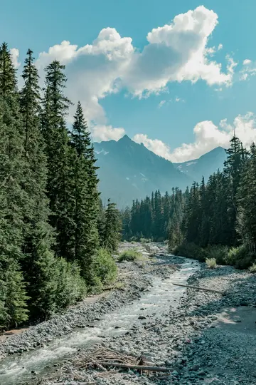 A clear river flows over a rocky bed, flanked by tall green pine trees. Majestic mountains rise in the distance under a…