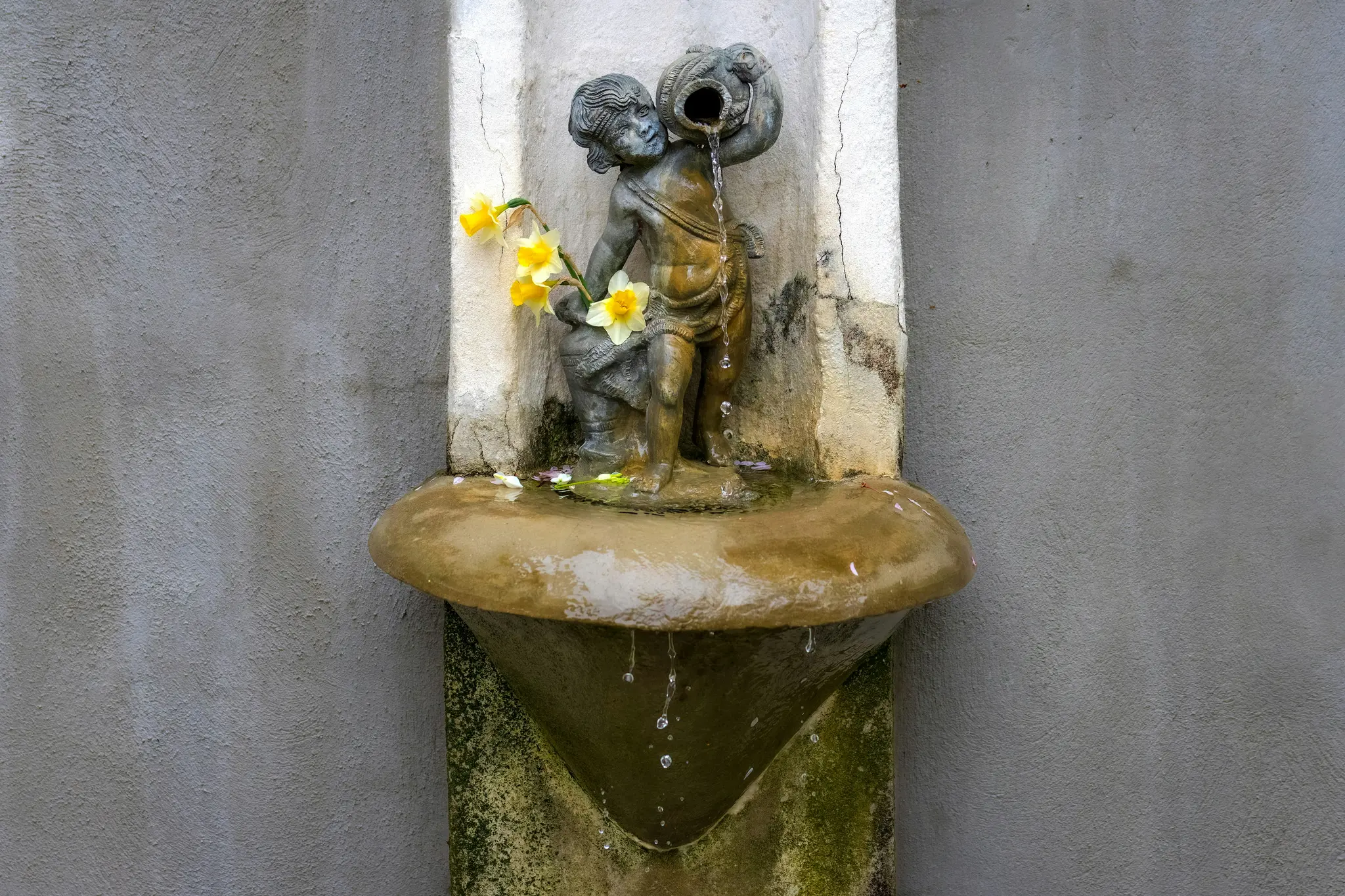 Une fontaine en pierre patinée représentant une statue de chérubin versant de l'eau d'une cruche, avec des jonquilles jaunes