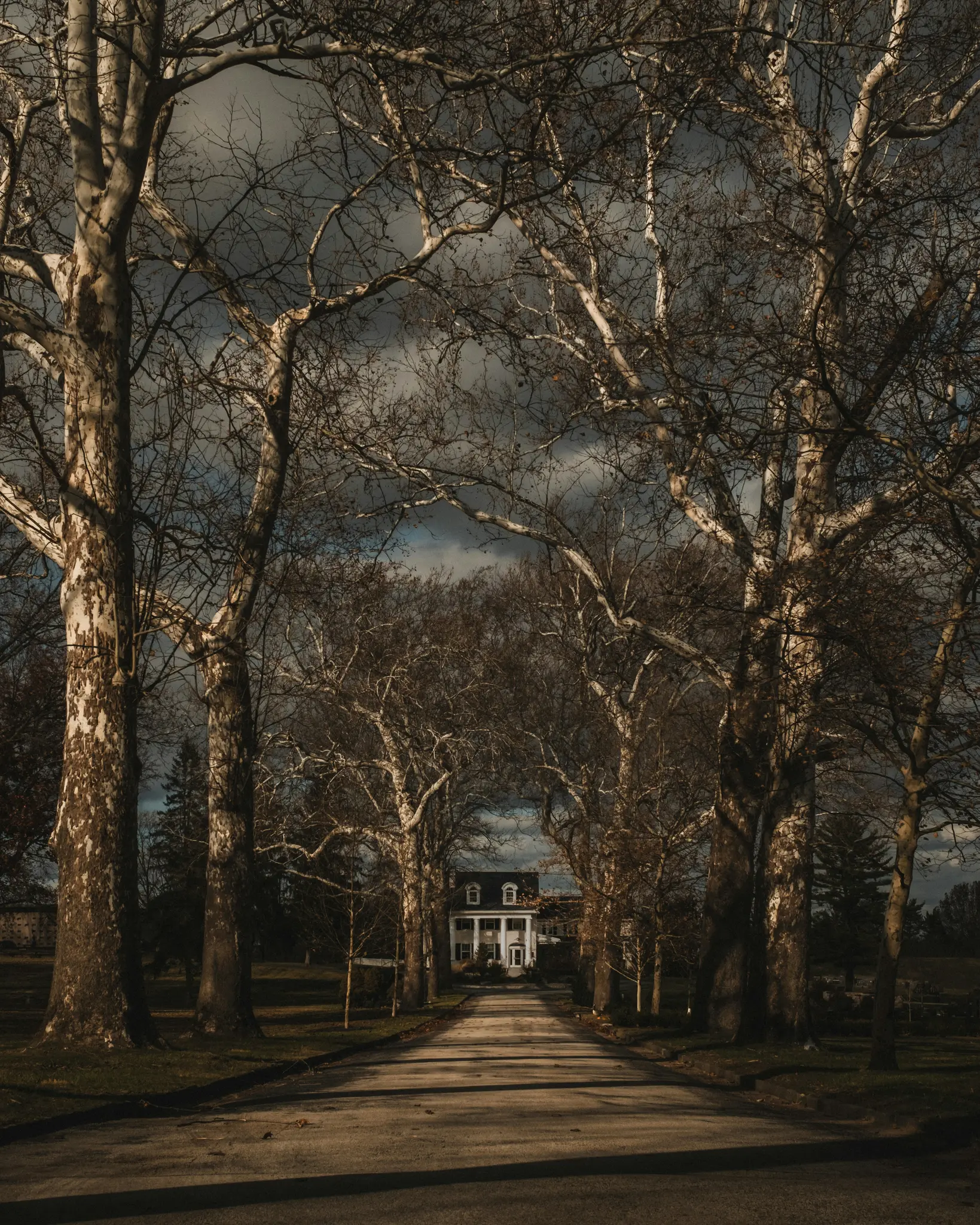 Une longue allée droite bordée de grands arbres dénudés mène à une maison blanche et majestueuse avec un toit sombre sous un