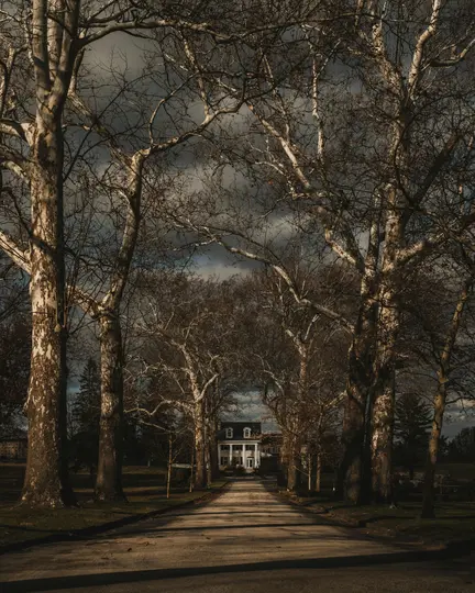 A long, straight driveway lined with tall, bare trees leads to a stately white house with a dark roof under a cloudy sky.