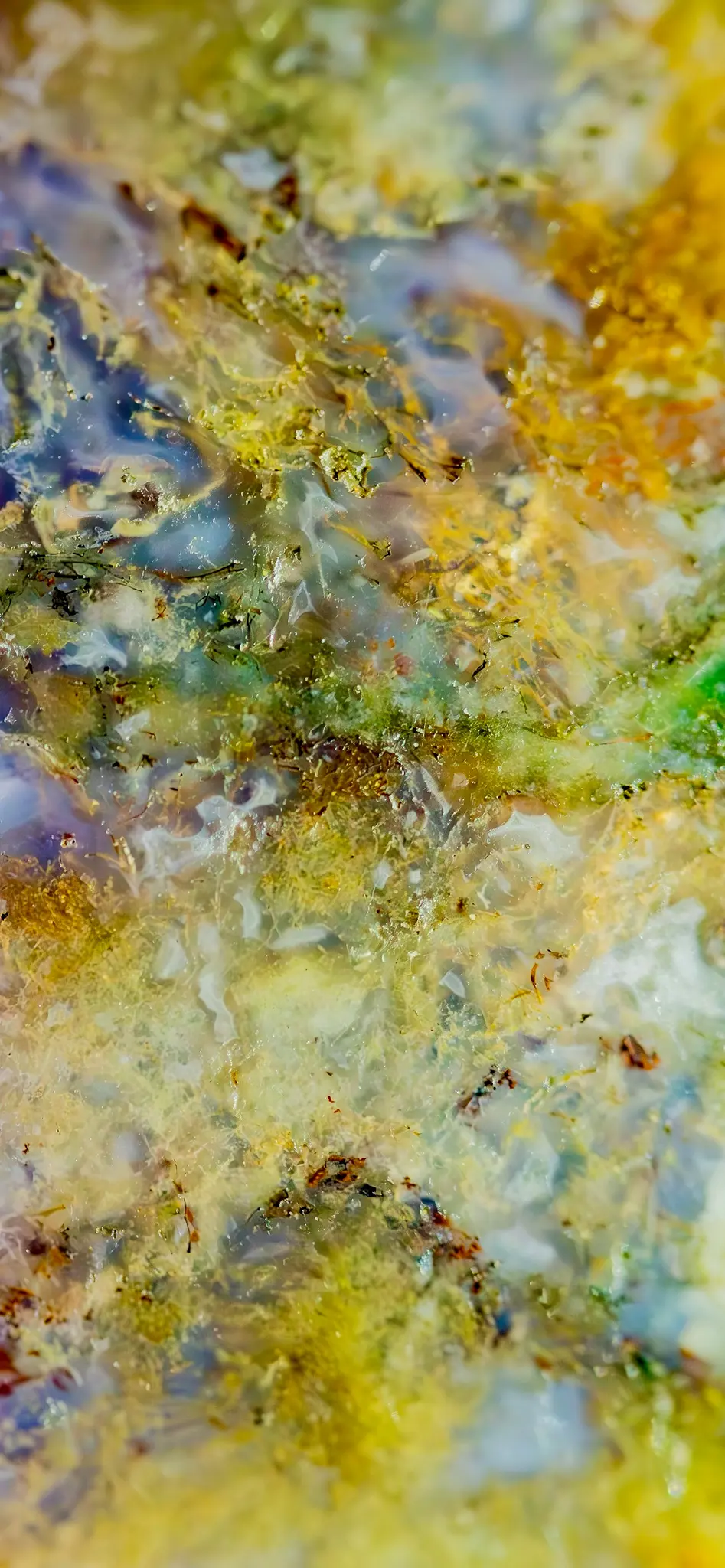 Une photographie macro vibrante de la surface d'un minéral ou d'une roche, montrant des motifs complexes de jaune, vert, bleu