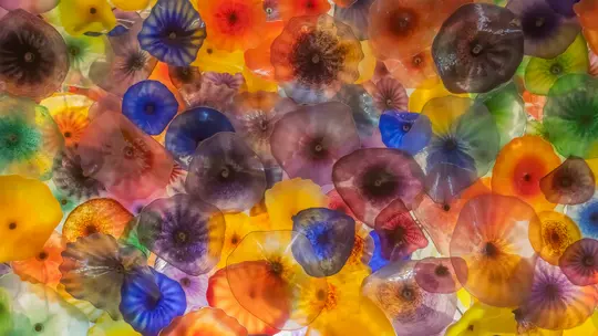 A close-up, full-frame view of numerous overlapping, translucent glass forms in various vibrant colors like yellow, orange…