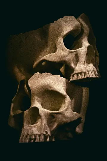 Detailný záber na výšku zobrazuje dve ľudské lebky, jednu umiestnenú nad druhou a mierne za ňou.