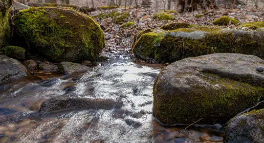 A clear stream with sunlit ripples flows between large, moss-covered rocks on a forest floor covered in brown leaves.