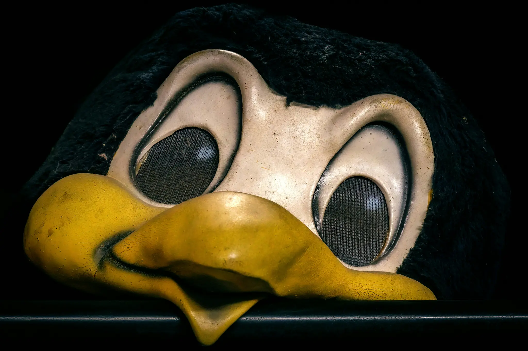 Detail staré, mierne poškodenej hlavy animatronického tučniaka s čiernou chlpatou hornou časťou, veľkými bielymi očami so