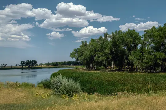 A wide landscape view of a calm lake or pond with a lush green shoreline, tall trees, and a bright blue sky with white…