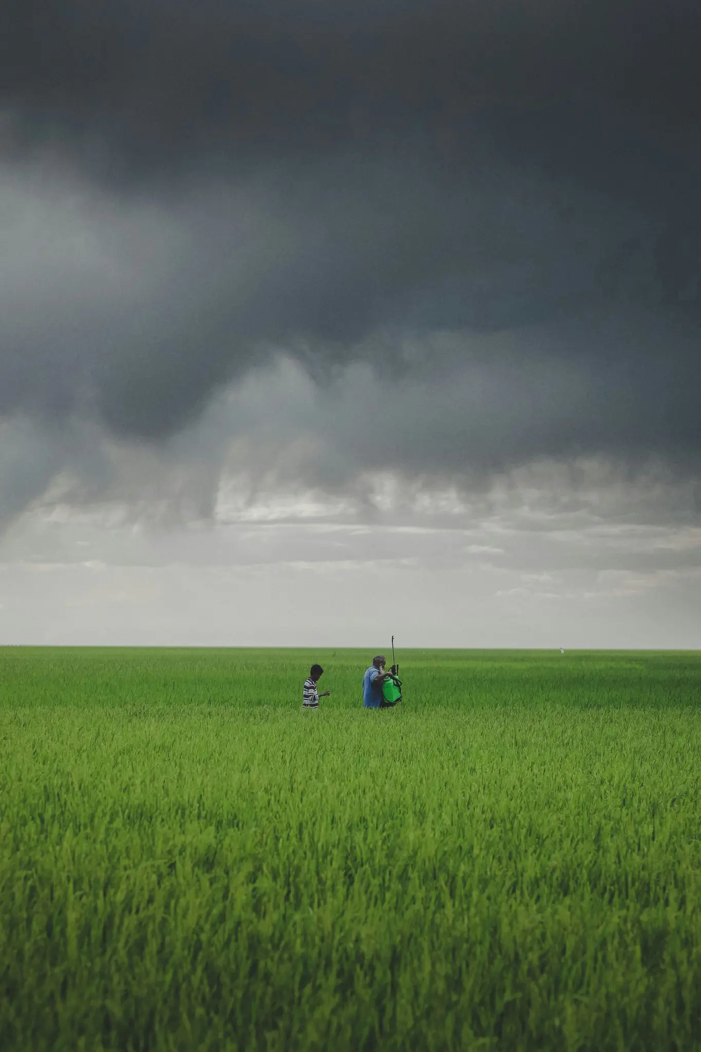 Une photo de paysage large montre deux petites silhouettes dans un vaste champ d'un vert éclatant sous un ciel dramatique