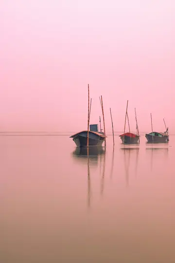 Tre små, mörka båtar ligger förtöjda i stilla, rosa-färgat vatten under en mjuk rosa himmel, med sina reflektioner synliga.
