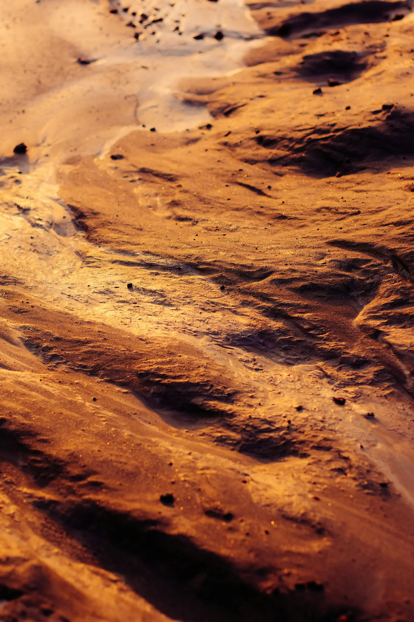 Närbild, en bild från hög vinkel av texturerat sand med krusningar och små mörka stenar, belyst av varmt gyllene ljus.