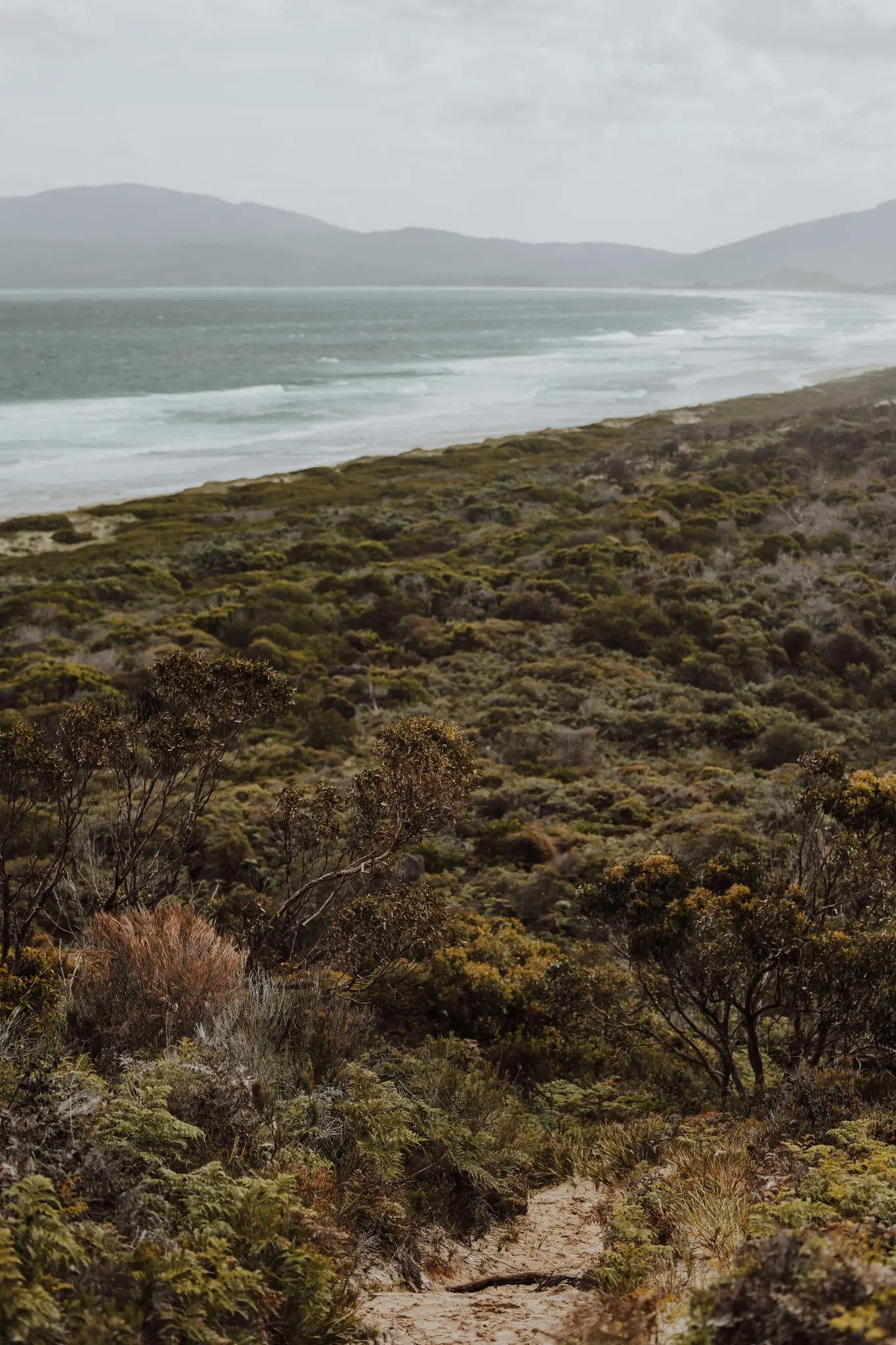 A sandy path winds through lush green and brown coastal vegetation towards a beach with white-capped waves and distant…