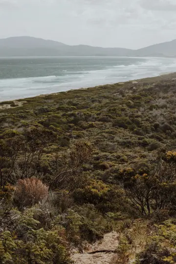 A sandy path winds through lush green and brown coastal vegetation towards a beach with white-capped waves and distant…