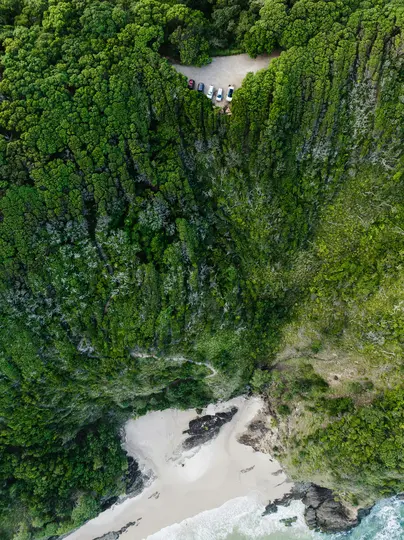 Eine Luftaufnahme zeigt einen dichten grünen Wald, der an einen weißen Sandstrand grenzt, mit sanft auf den Ufer treffenden