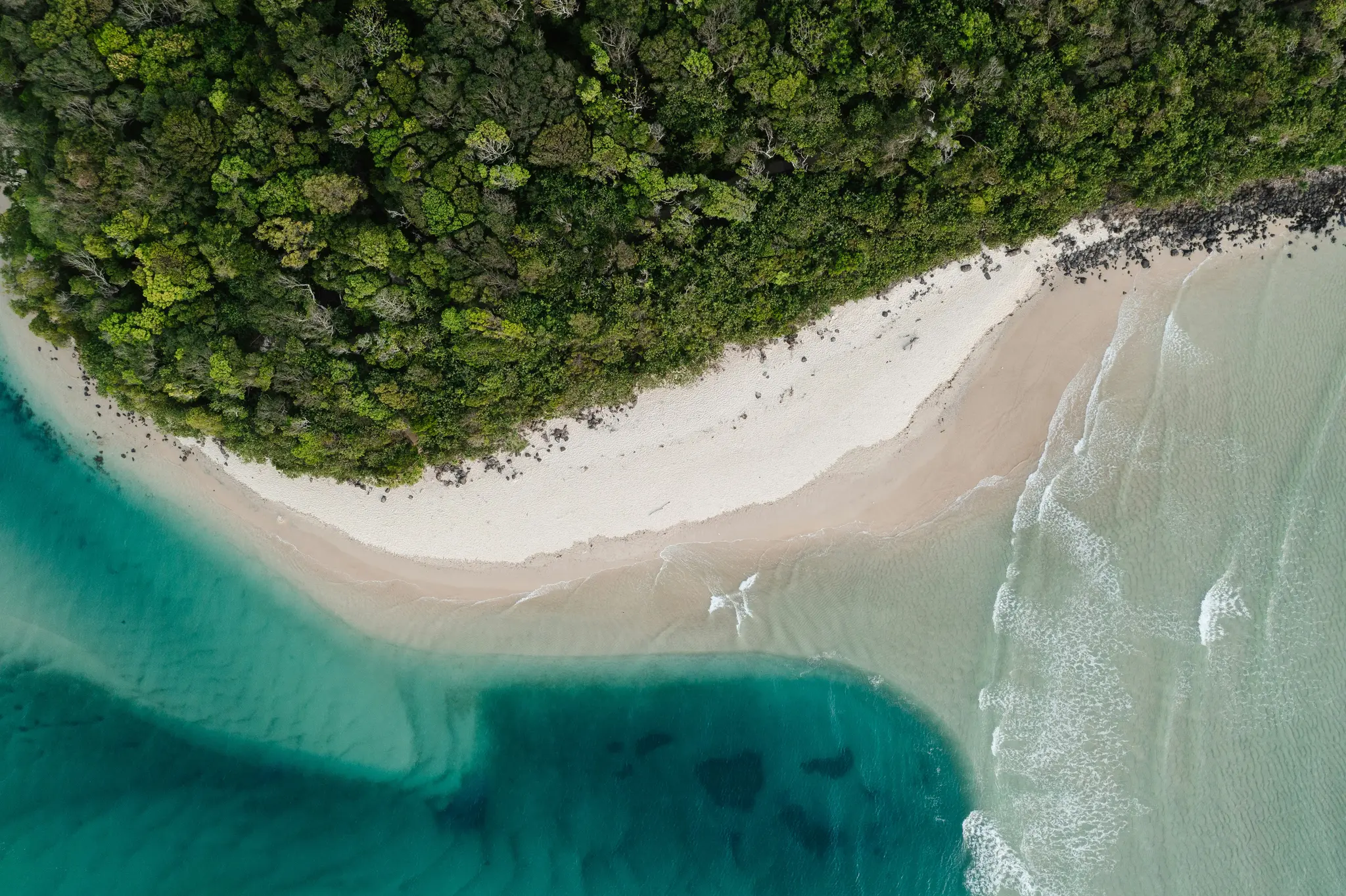 An aerial shot of a vibrant green forest meeting a light sandy beach, which separates two bodies of water with different…