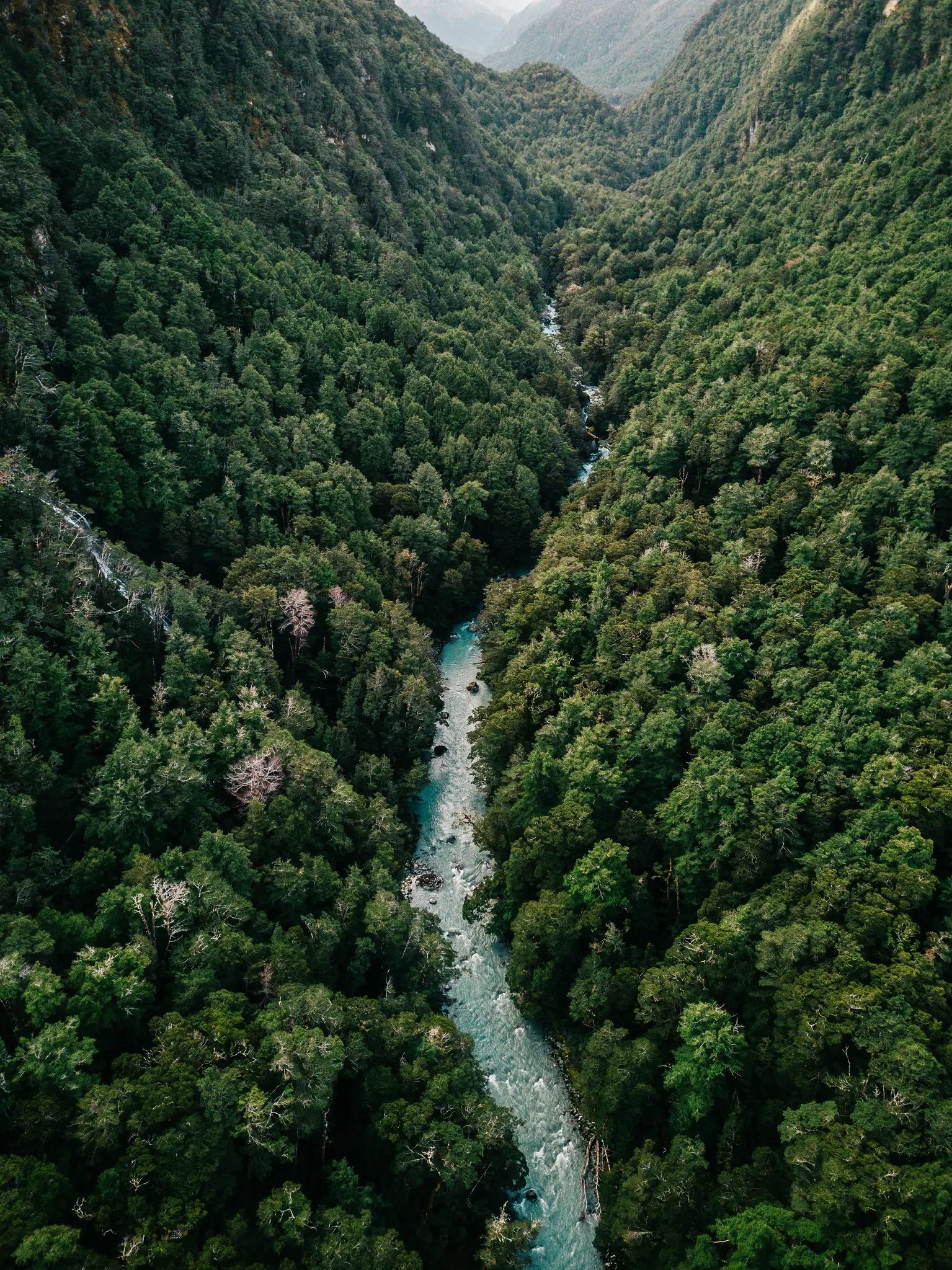 An aerial view of a light blue river winding through a deep, V-shaped valley covered in dense green forest.