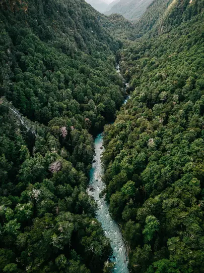 Una vista aerea di un fiume azzurro che serpeggia attraverso una profonda valle a forma di V coperta da una fitta foresta