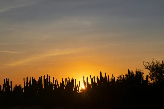 A wide landscape photo of a desert sunset. The sun, a bright orange orb, is partially obscured by a dense silhouette of…