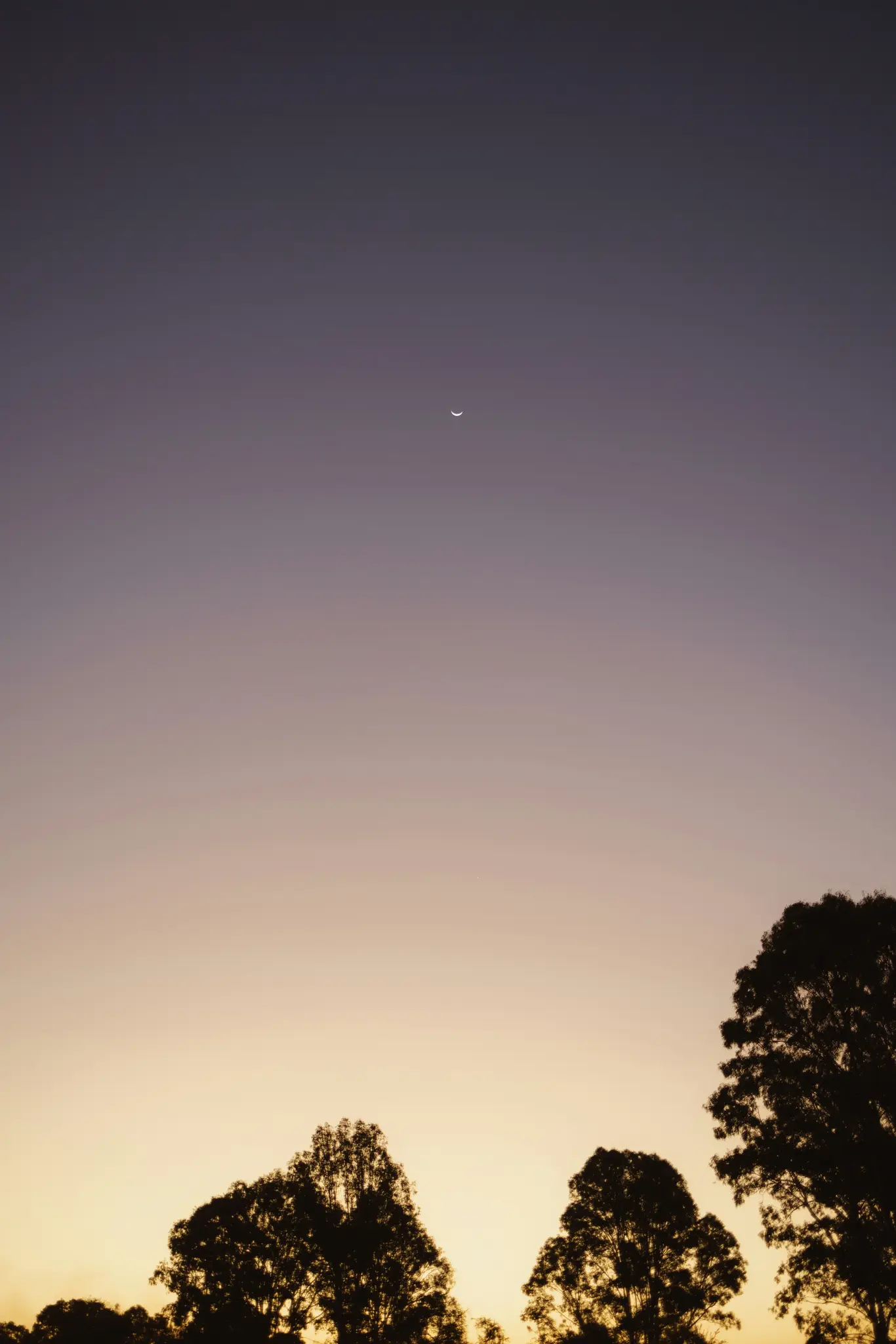 A minimalist photo of a thin crescent moon in a gradient sky, transitioning from deep purple at the top to soft orange and…