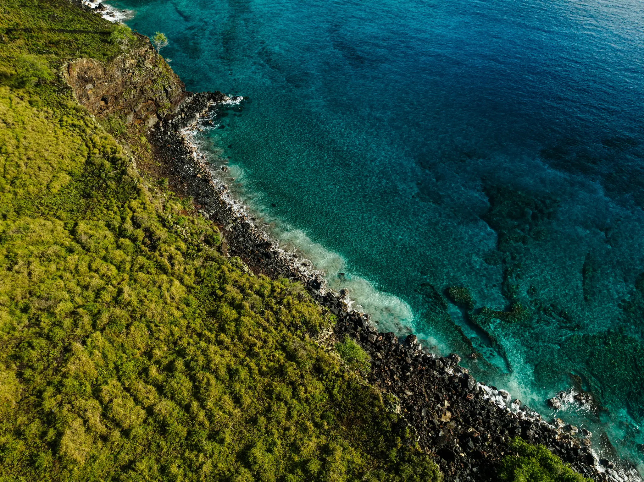 An aerial shot shows a vibrant green, densely vegetated cliffside sloping down to a dark rocky beach, meeting clear blue…