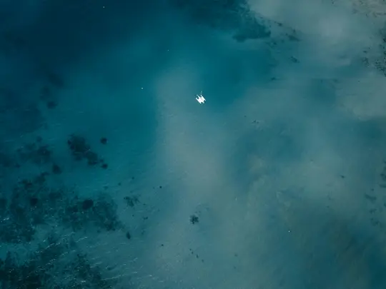 Eine Luftaufnahme eines kleinen weißen Katamarans, der auf klarem blaugrünem Meerwasser schwimmt. Unterwasser sind Korallen