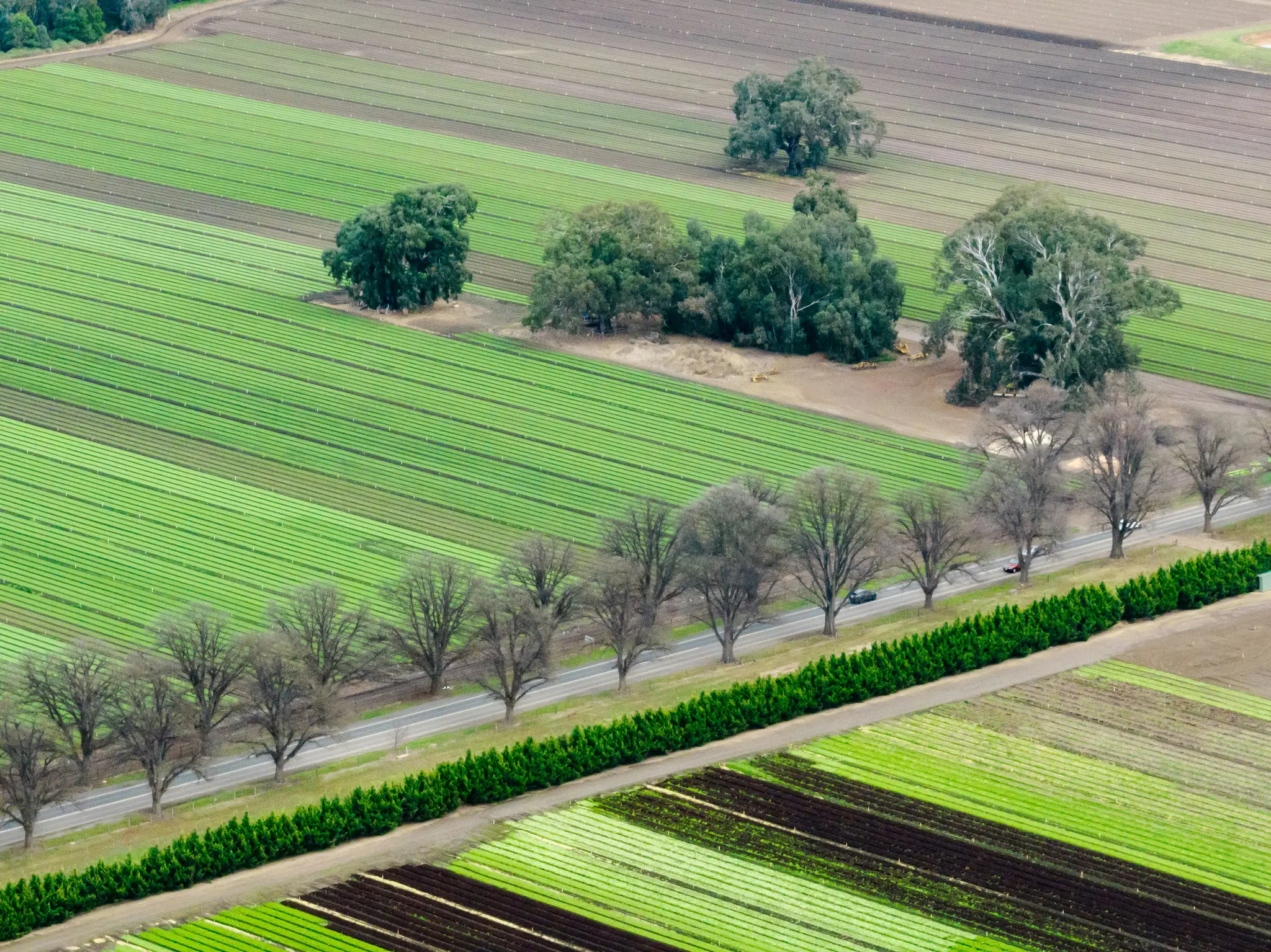 Een luchtfoto toont een uitgestrekt landschap van groene en bruine landbouwvelden, een door bomen omzoomde weg en