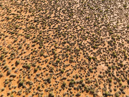 An aerial shot shows a vast expanse of reddish-orange desert sand dotted with numerous small, round green and brown shrubs.