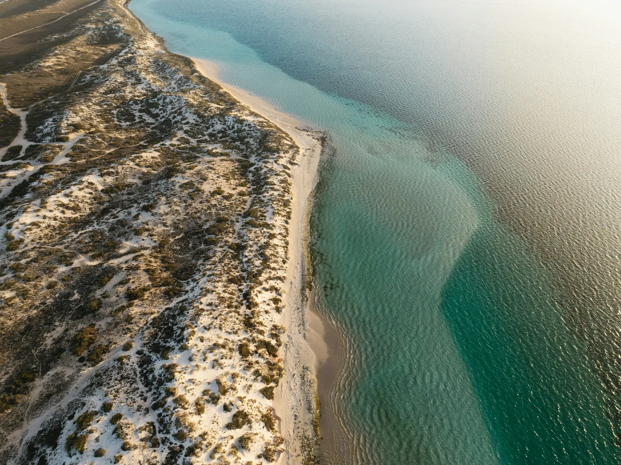 An aerial shot captures a sandy beach with scattered green vegetation, bordering a clear ocean with varying shades of blue…