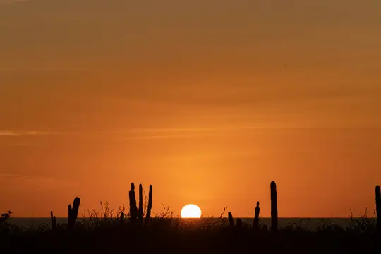 Ein lebendiger orange-gelber Sonnenuntergang über einem ruhigen Gewässer, mit dunklen Silhouetten von hohen Kakteen und