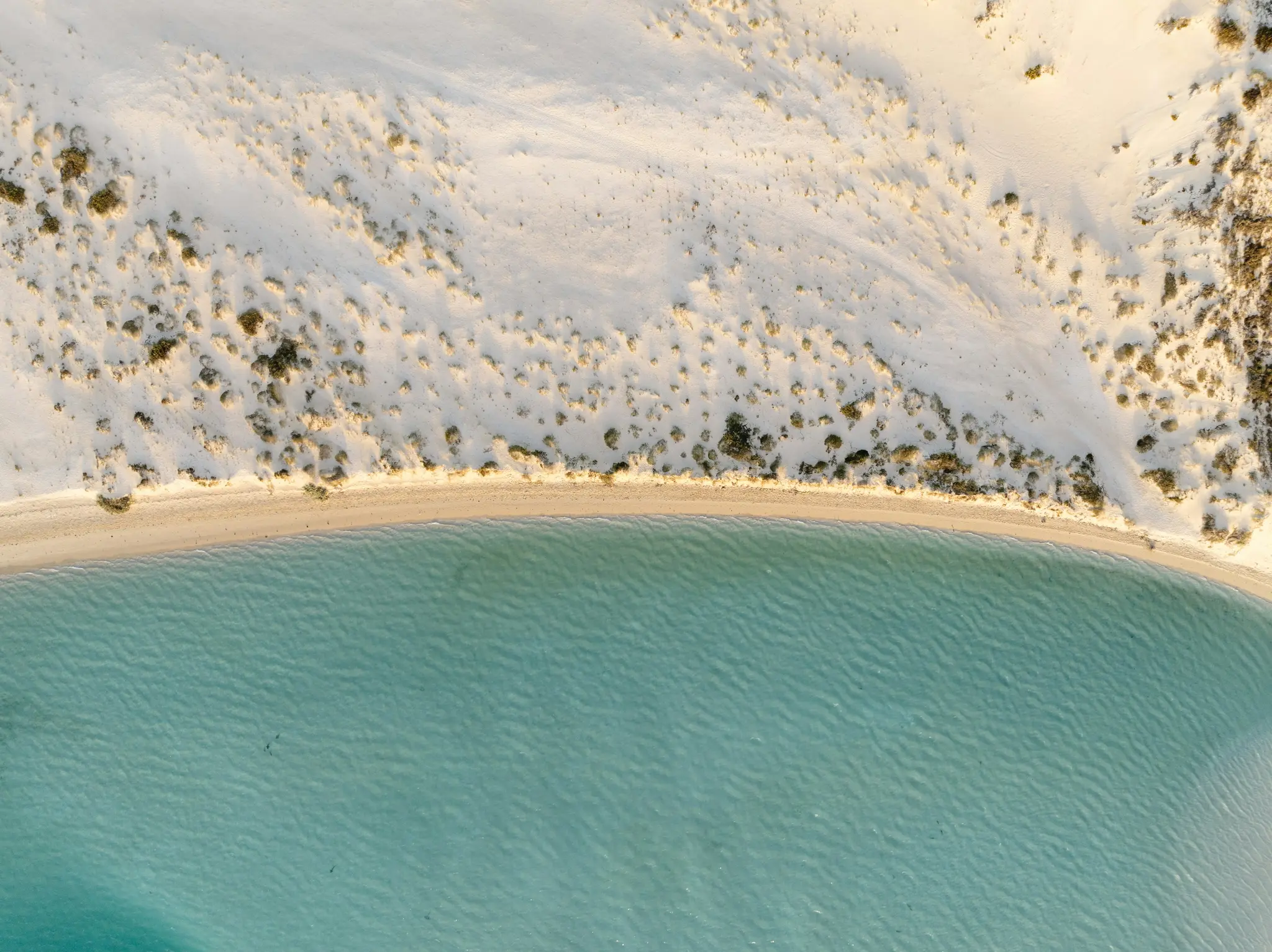 En flygbild visar en böjd sandstrand med gles grönska som möter lugnt, klart turkost vatten i varmt ljus.