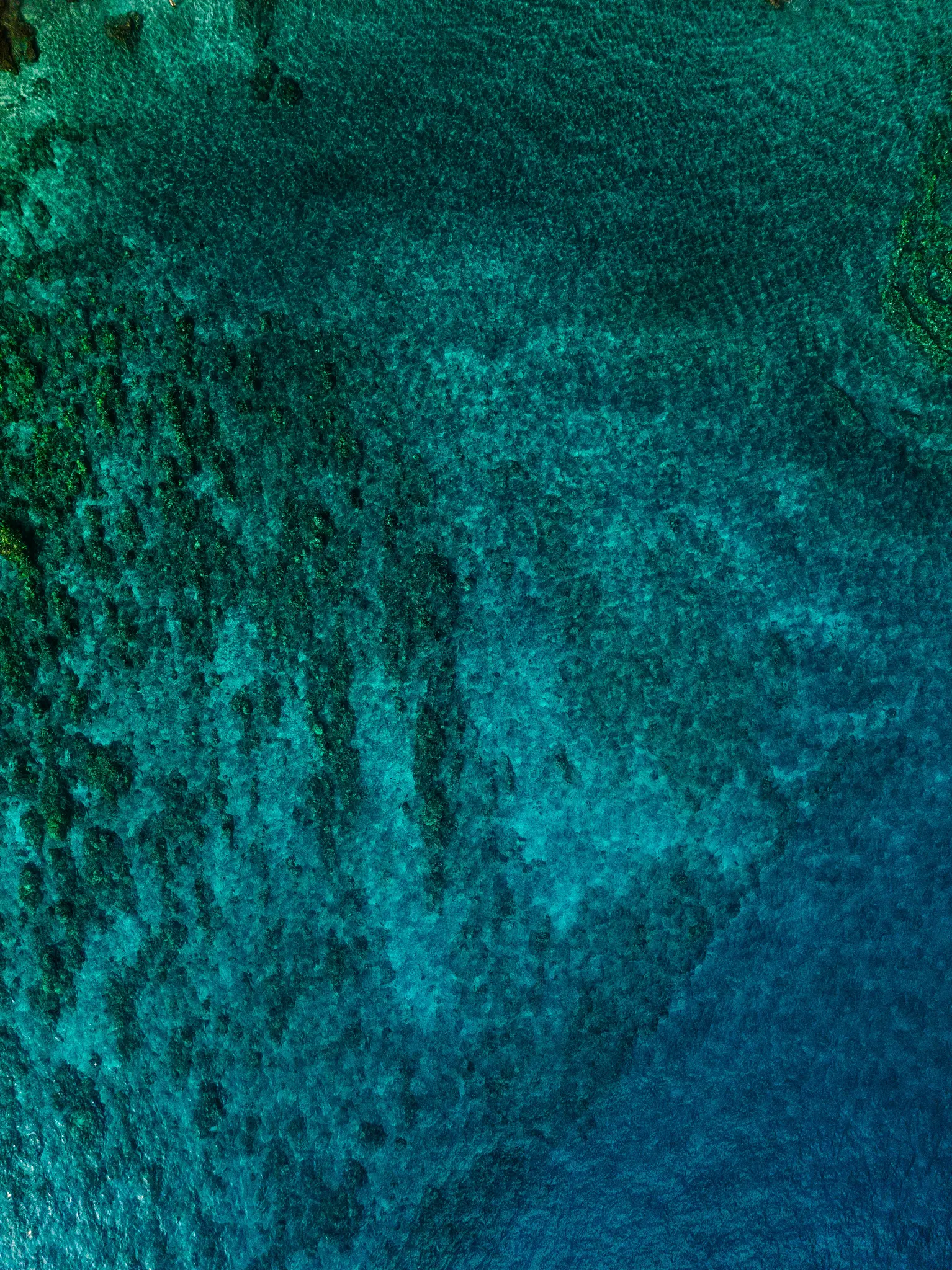 Et luftfotografi viser klart havvand med en gradient af blå og grønne nuancer, der afslører den teksturerede havbund