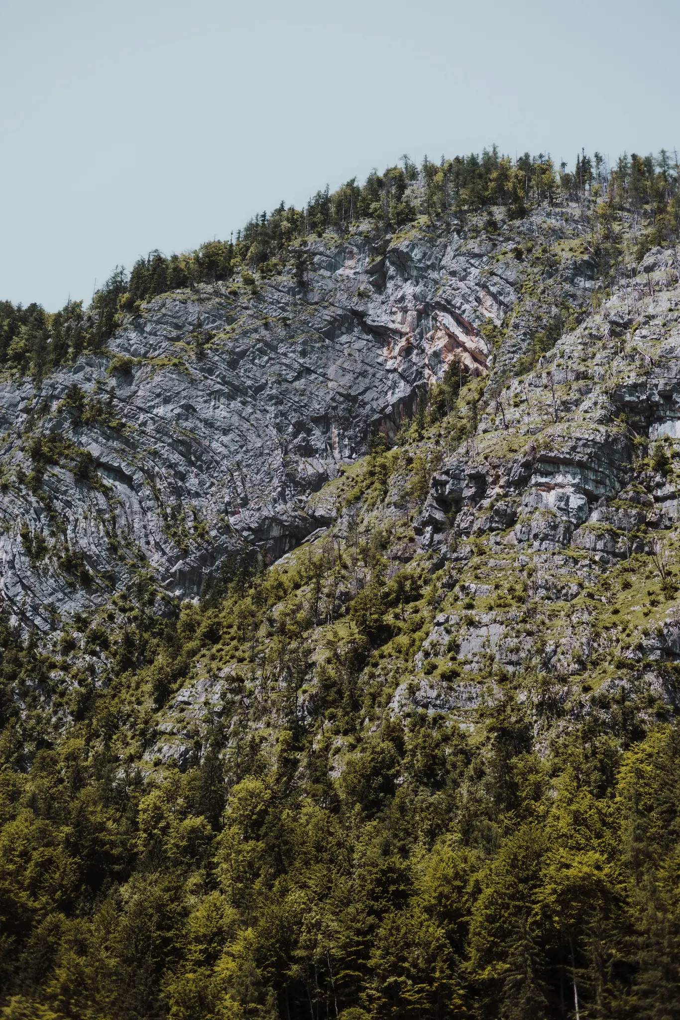 Eine detaillierte Ansicht einer steilen Bergwand, die Schichten aus grauem Fels mit grünen Bäumen und spärlicher Vegetation