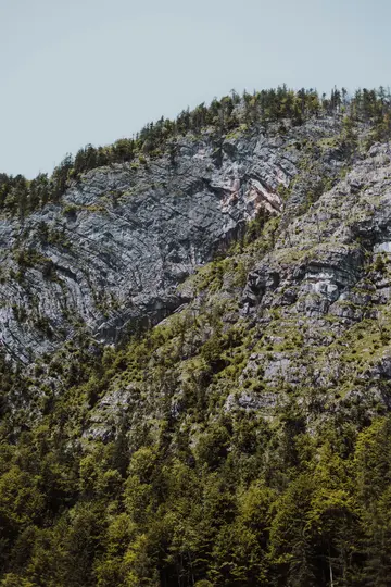 Una vista dettagliata di un ripido versante montuoso, che mostra strati di roccia grigia con alberi verdi e vegetazione rada