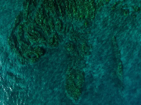 Eine Luftaufnahme, von oben, eines Korallenriffs, das in klarem, blaugrünem Ozeanwasser untergetaucht ist. Das Riff erscheint