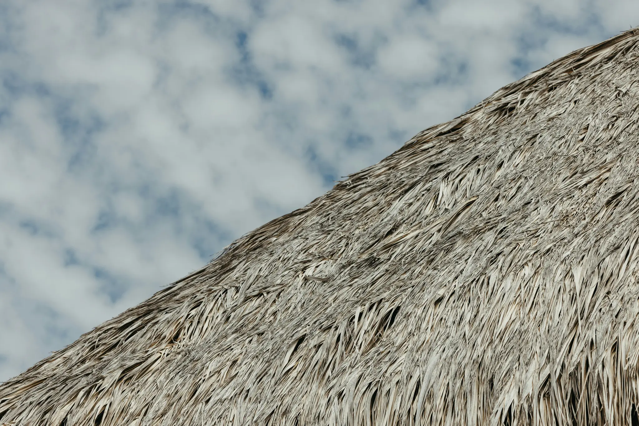 A close-up, diagonal view of a dry, light brown thatched roof against a light blue sky with scattered white clouds.
