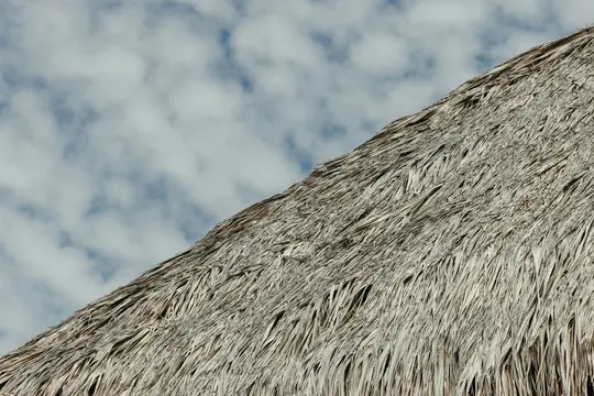 A close-up, diagonal view of a dry, light brown thatched roof against a light blue sky with scattered white clouds.