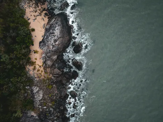 An aerial, top-down view of a rugged coastline. On the left, dark green trees meet a narrow strip of light brown sand.…