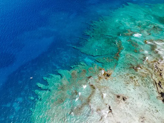 Una foto aerea mostra una vibrante barriera corallina sotto limpide acque oceaniche, che passano dal blu profondo al turchese