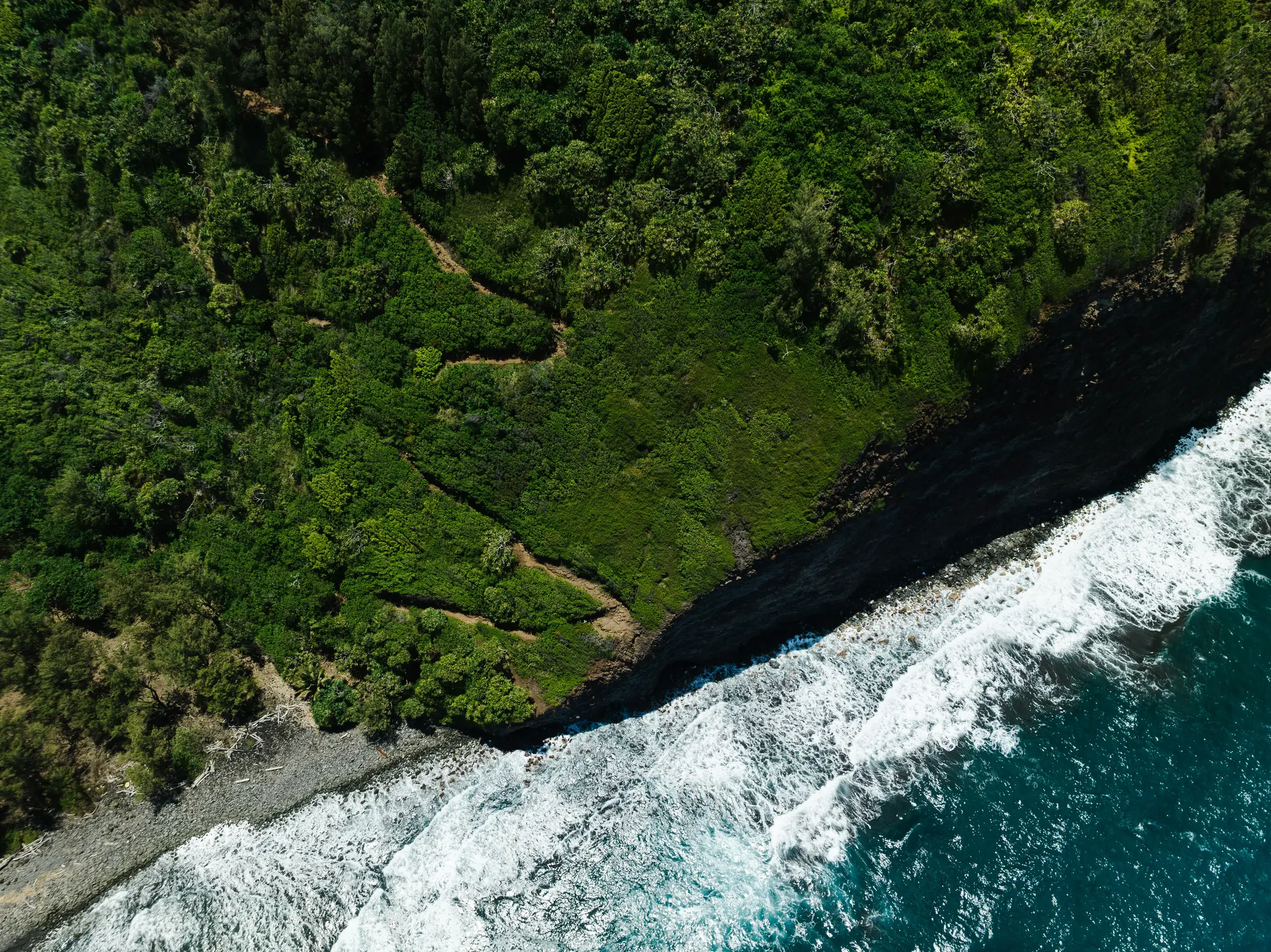 An aerial photograph captures a vibrant green, densely vegetated coastline with a dark cliff face meeting the deep blue…