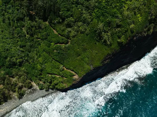 An aerial photograph captures a vibrant green, densely vegetated coastline with a dark cliff face meeting the deep blue…