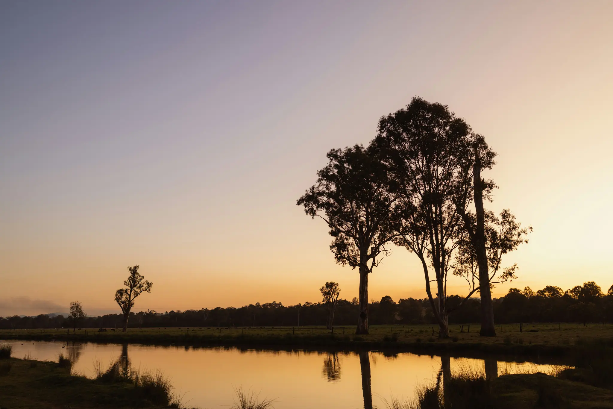 A wide landscape photo at golden hour, showing a body of water reflecting the orange and yellow sky. Silhouetted trees…