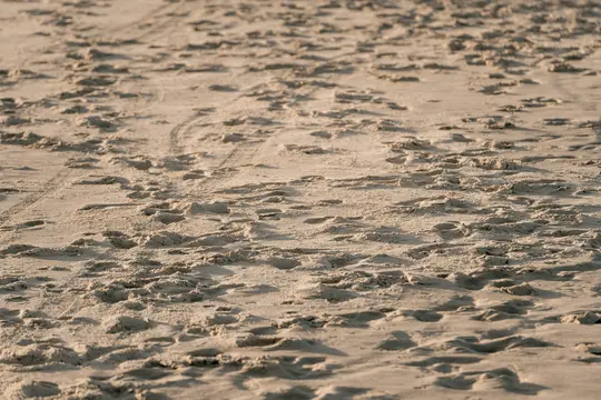 Eine Nahaufnahme aus niedrigem Blickwinkel von hellbraunem Sand, bedeckt mit vielen Fuß- und Reifenspuren, die lange Schatten