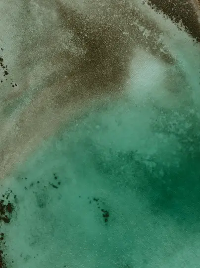 Eine Luftaufnahme zeigt die abstrakten Muster von flachem Wasser und enthüllt hellgrünen, dunkelgrünen und braunen Sediment.