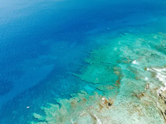 Una fotografia aerea mostra un oceano blu limpido che incontra una barriera corallina poco profonda. Sono visibili una