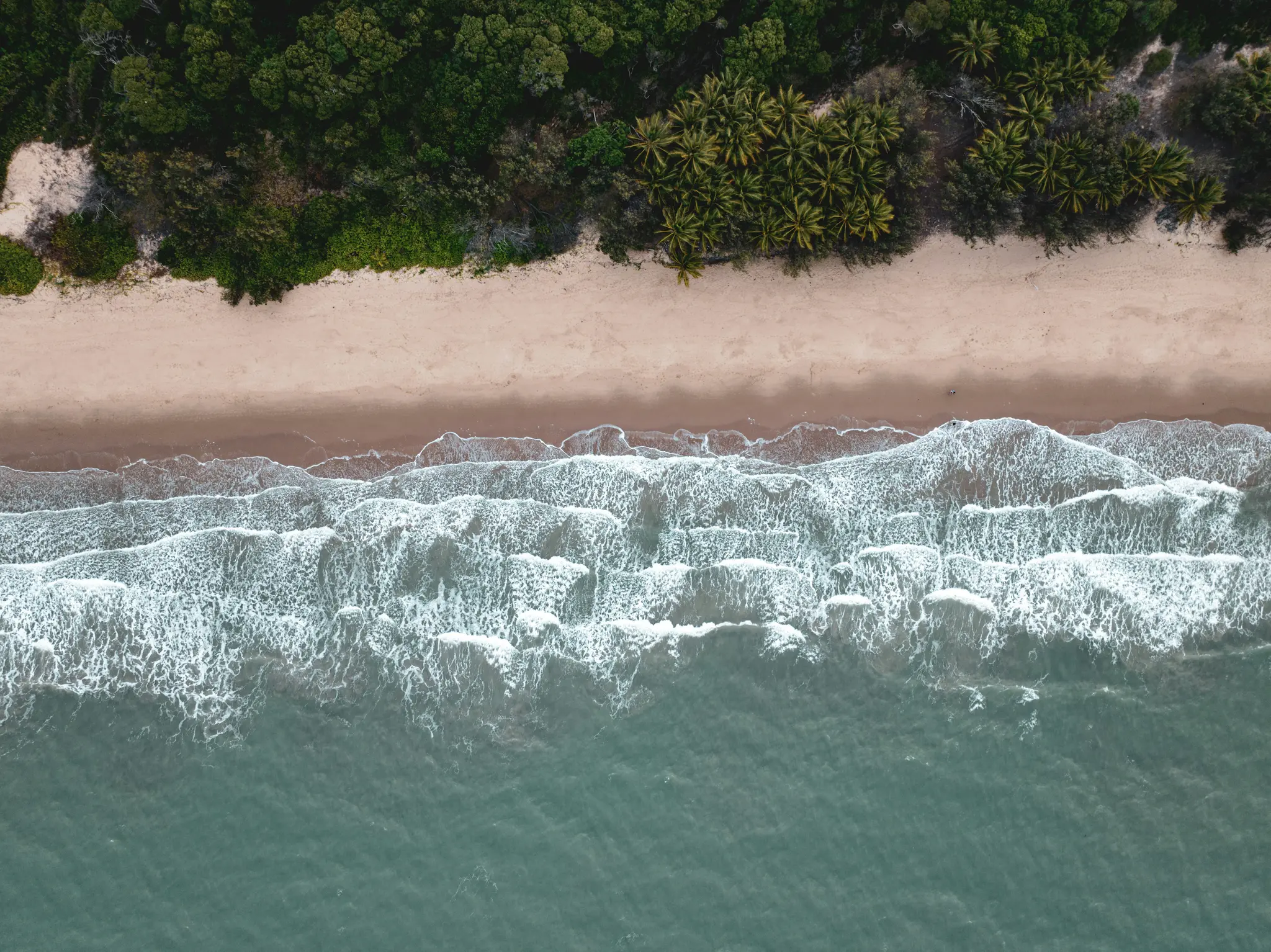 An aerial shot shows a sandy beach with a line of lush green trees and palm trees, meeting the turquoise ocean with white…