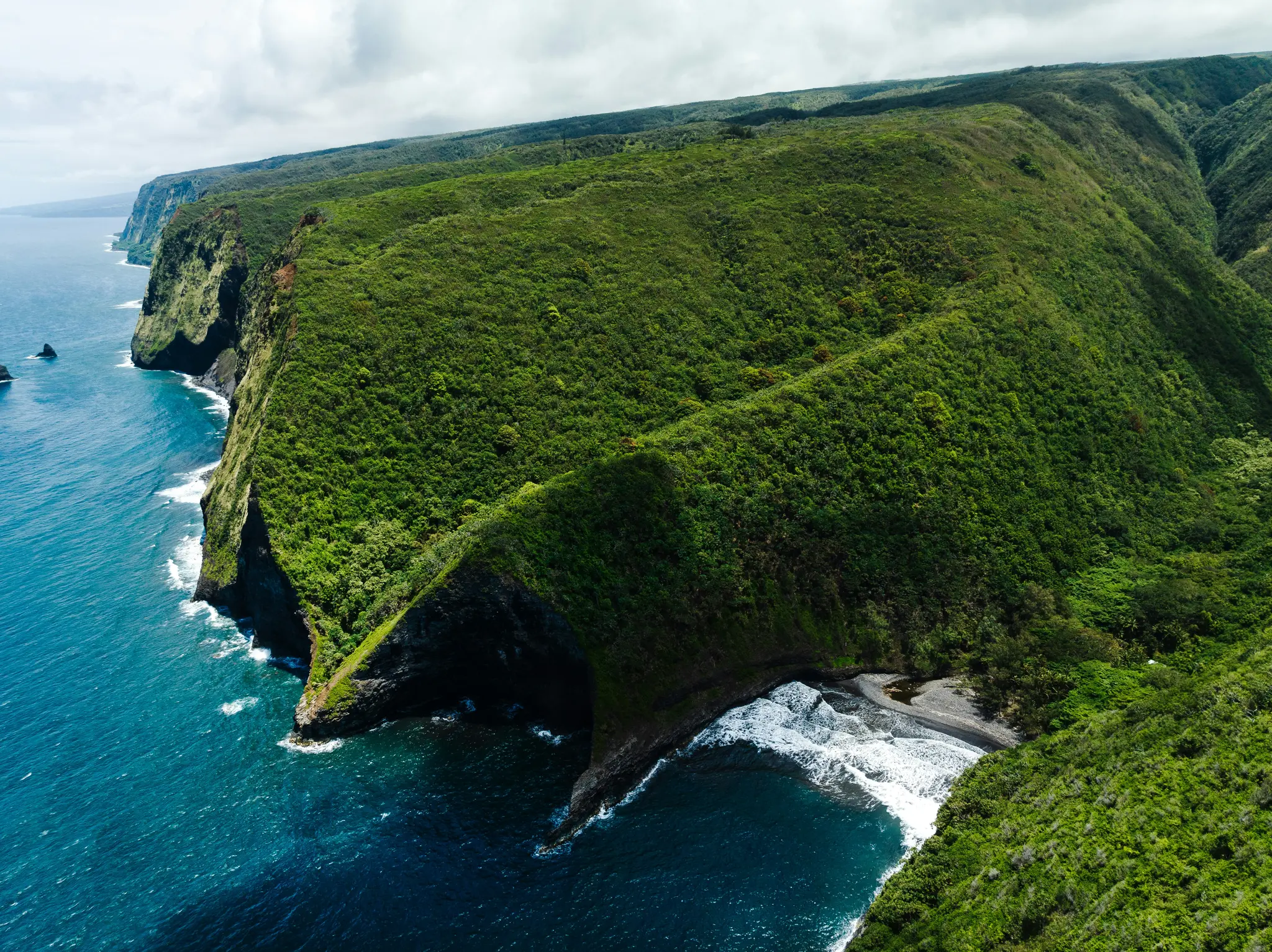 An aerial shot shows a vibrant green, densely vegetated coastline with dramatic cliffs plunging into the deep blue ocean.…