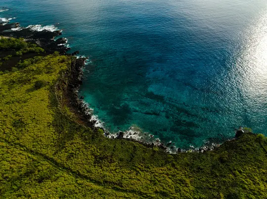 Una ripresa aerea mostra una costa verdeggiante e densamente vegetata, che si curva in un oceano blu profondo con acque