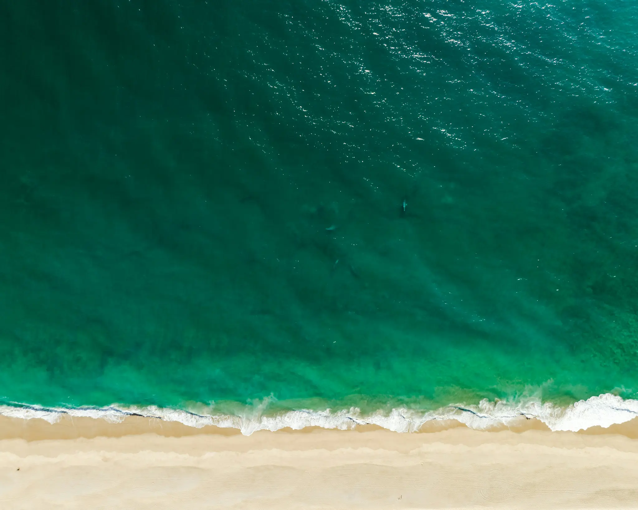 An aerial shot looking straight down at a wide sandy beach meeting the turquoise and teal ocean with white waves.
