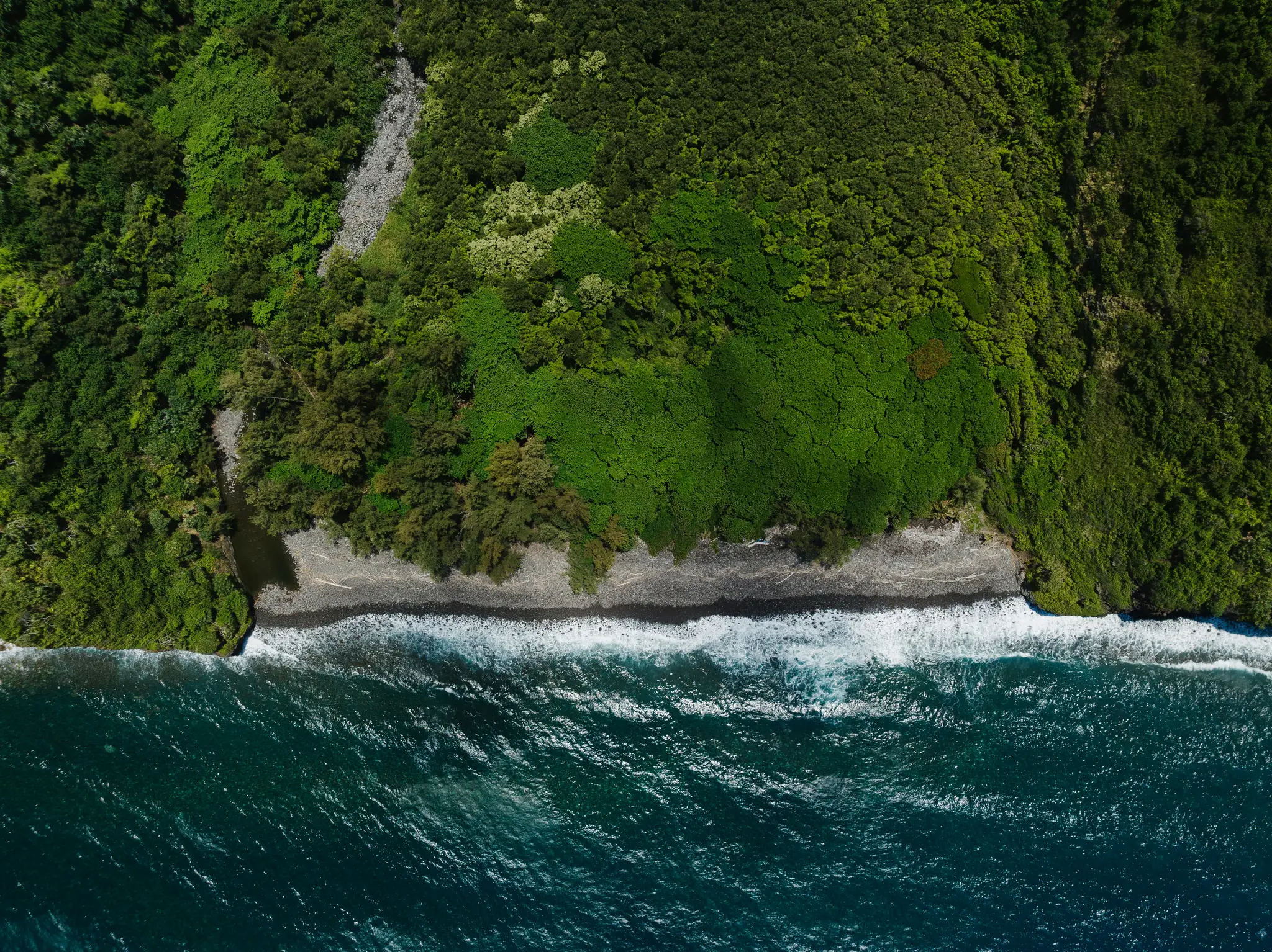 An aerial shot of a vibrant green forested coastline meeting a dark pebble beach, with deep blue ocean waves breaking on…