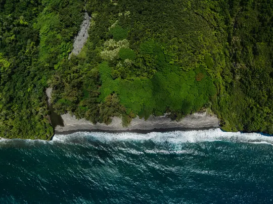 An aerial shot of a vibrant green forested coastline meeting a dark pebble beach, with deep blue ocean waves breaking on…