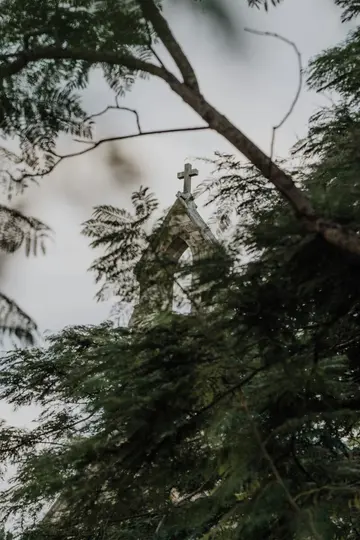 Ein steinerner Kirchturm mit einem Kreuz an der Spitze ist durch eine dichte Überlagerung von grünen Ästen und Blättern…